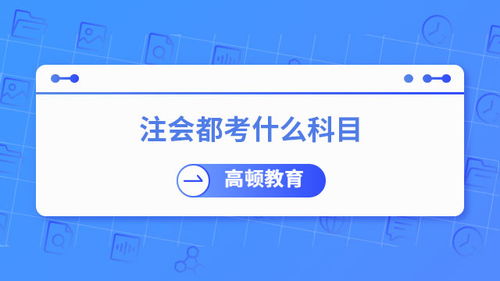 注册会计师考试科目解析 两个阶段与七科体系及其在社会经济咨询服务中的应用