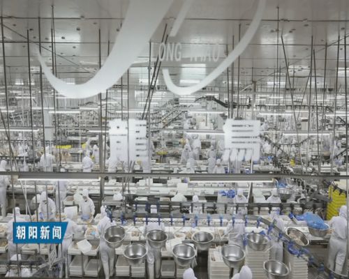 扛起新担当展现新作为 全力推进朝阳经济社会实现高质量发展